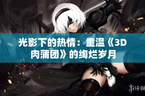 光影下的热情：重温《3D肉蒲团》的绚烂岁月