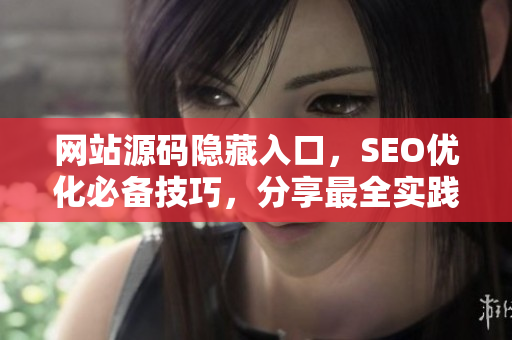 网站源码隐藏入口，SEO优化必备技巧，分享最全实践指南