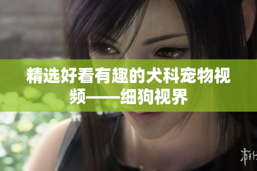 精选好看有趣的犬科宠物视频——细狗视界