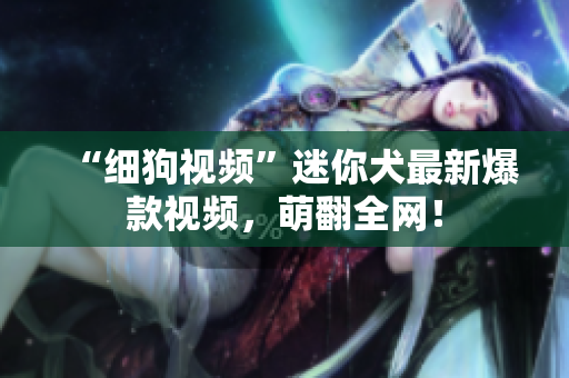 “细狗视频”迷你犬最新爆款视频，萌翻全网！
