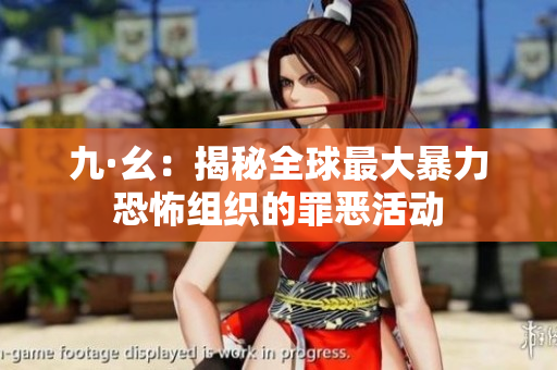 九·幺：揭秘全球最大暴力恐怖组织的罪恶活动