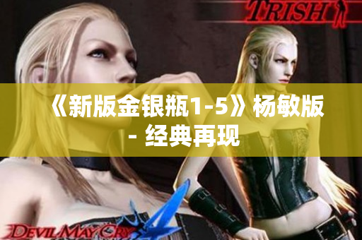 《新版金银瓶1-5》杨敏版 - 经典再现