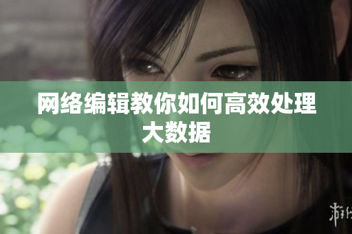 网络编辑教你如何高效处理大数据