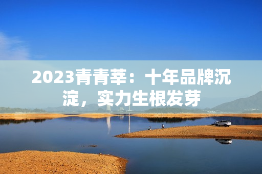 2023青青莘：十年品牌沉淀，实力生根发芽
