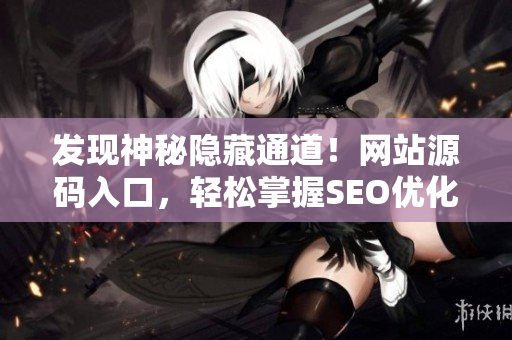 发现神秘隐藏通道！网站源码入口，轻松掌握SEO优化