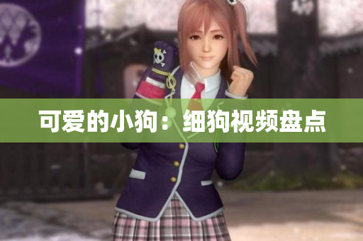 可爱的小狗：细狗视频盘点