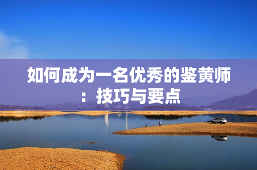 如何成为一名优秀的鉴黄师：技巧与要点