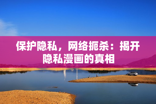 保护隐私，网络扼杀：揭开隐私漫画的真相