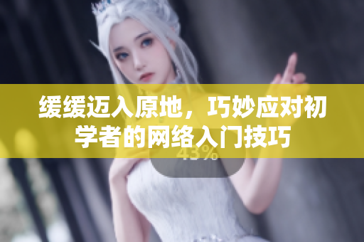缓缓迈入原地，巧妙应对初学者的网络入门技巧