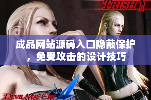 成品网站源码入口隐蔽保护，免受攻击的设计技巧