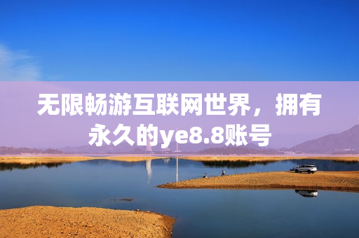 无限畅游互联网世界，拥有永久的ye8.8账号
