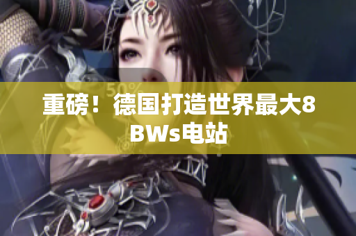 重磅！德国打造世界最大8BWs电站