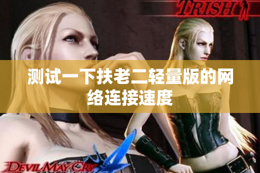 测试一下扶老二轻量版的网络连接速度