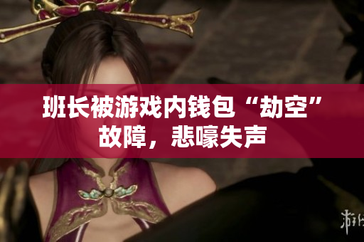 班长被游戏内钱包“劫空”故障，悲嚎失声