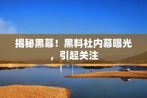 揭秘黑幕！黑料社内幕曝光，引起关注