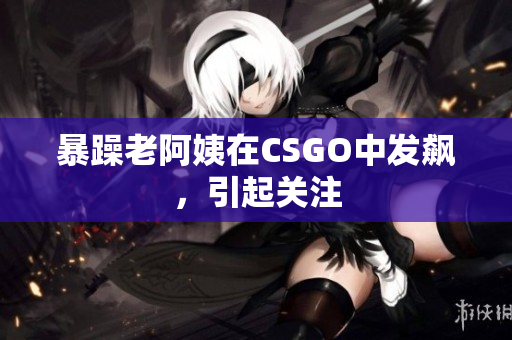 暴躁老阿姨在CSGO中发飙，引起关注