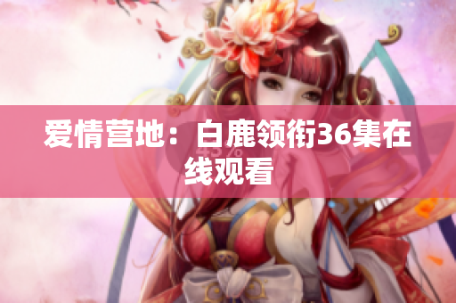 爱情营地：白鹿领衔36集在线观看