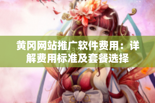 黄冈网站推广软件费用：详解费用标准及套餐选择