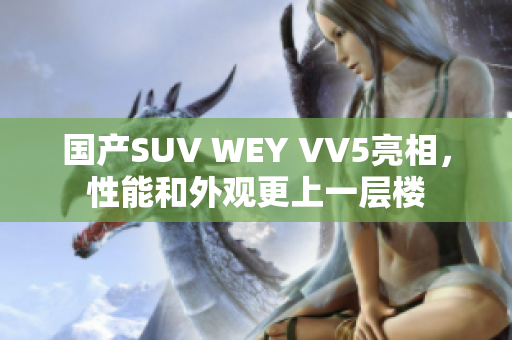 国产SUV WEY VV5亮相，性能和外观更上一层楼