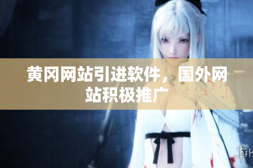 黄冈网站引进软件，国外网站积极推广