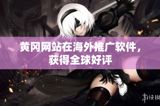 黄冈网站在海外推广软件，获得全球好评