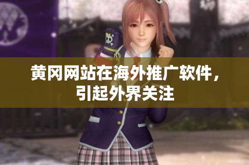 黄冈网站在海外推广软件，引起外界关注