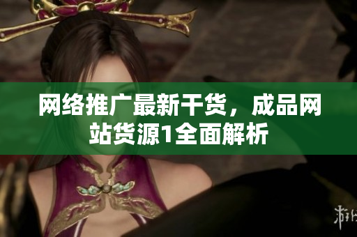 网络推广最新干货，成品网站货源1全面解析