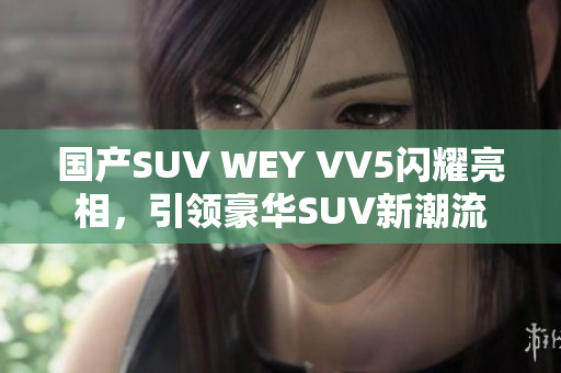 国产SUV WEY VV5闪耀亮相，引领豪华SUV新潮流