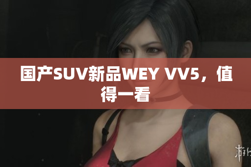 国产SUV新品WEY VV5，值得一看