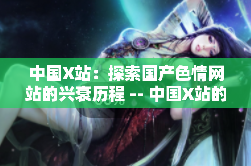 中国X站：探索国产色情网站的兴衰历程 -- 中国X站的兴衰历程
