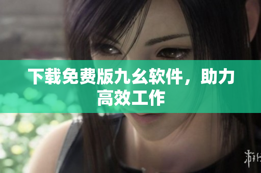 下载免费版九幺软件，助力高效工作