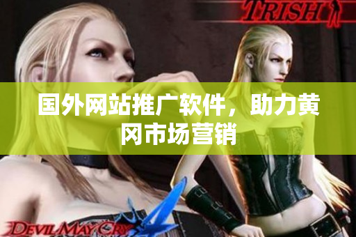 国外网站推广软件，助力黄冈市场营销