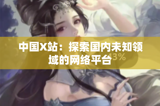中国X站：探索国内未知领域的网络平台