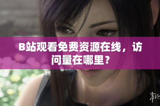 B站观看免费资源在线，访问量在哪里？
