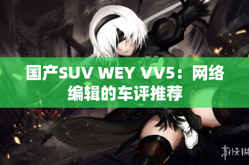 国产SUV WEY VV5：网络编辑的车评推荐