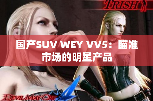 国产SUV WEY VV5：瞄准市场的明星产品