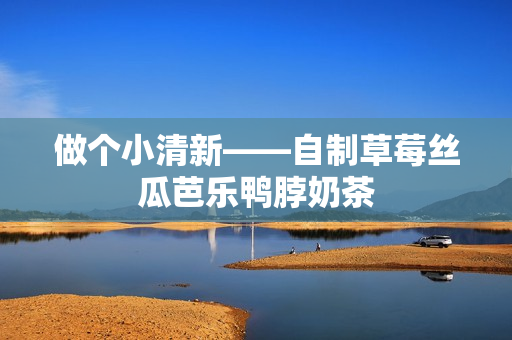 做个小清新——自制草莓丝瓜芭乐鸭脖奶茶