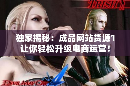 独家揭秘：成品网站货源1让你轻松升级电商运营！