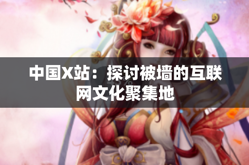 中国X站：探讨被墙的互联网文化聚集地