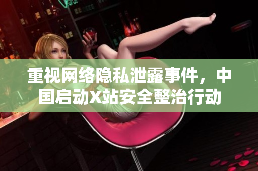重视网络隐私泄露事件，中国启动X站安全整治行动