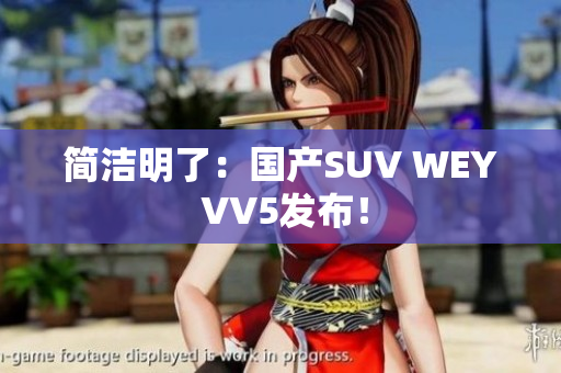 简洁明了：国产SUV WEY VV5发布！