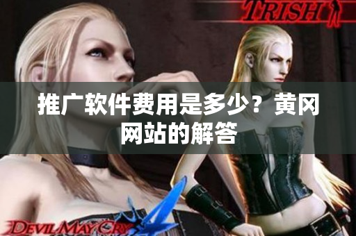推广软件费用是多少？黄冈网站的解答