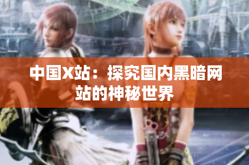 中国X站：探究国内黑暗网站的神秘世界