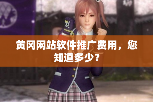 黄冈网站软件推广费用，您知道多少？
