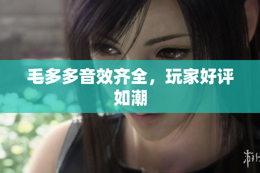 毛多多音效齐全，玩家好评如潮