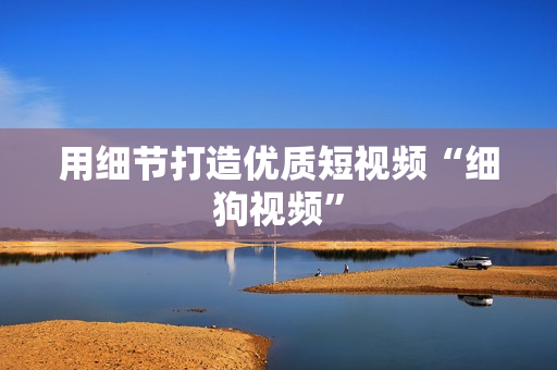 用细节打造优质短视频“细狗视频”