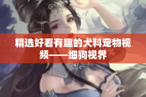 精选好看有趣的犬科宠物视频——细狗视界