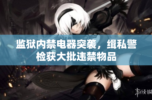 监狱内禁电器突袭，缉私警检获大批违禁物品