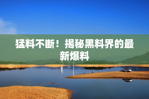 猛料不断！揭秘黑料界的最新爆料