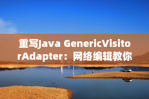重写Java GenericVisitorAdapter：网络编辑教你如何实现